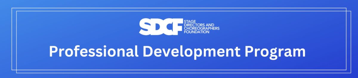 Professional Development New Program Professional Development Program | SDC Foundation